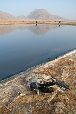 BB 10 0218 / Ciconia ciconia / Stork